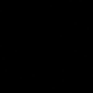 Meet your Posher, Bebe